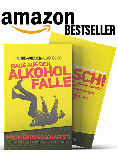 Raus aus der Alkhoholfalle eBook