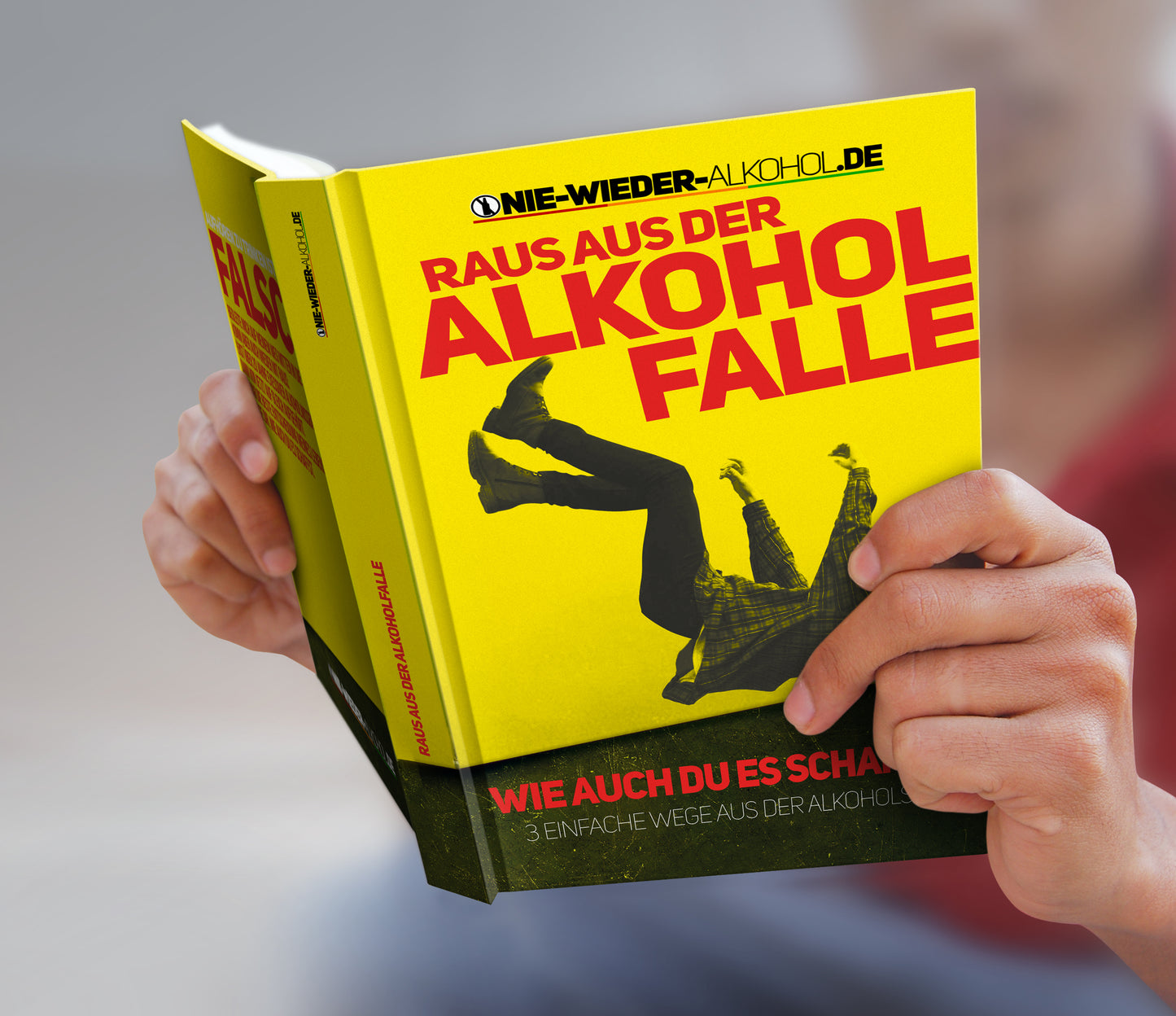 Raus aus der Alkhoholfalle eBook